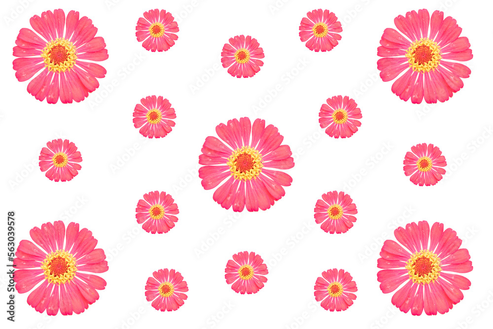 Patterns of flowers that are die-cut from real flowers. be arranged as a background