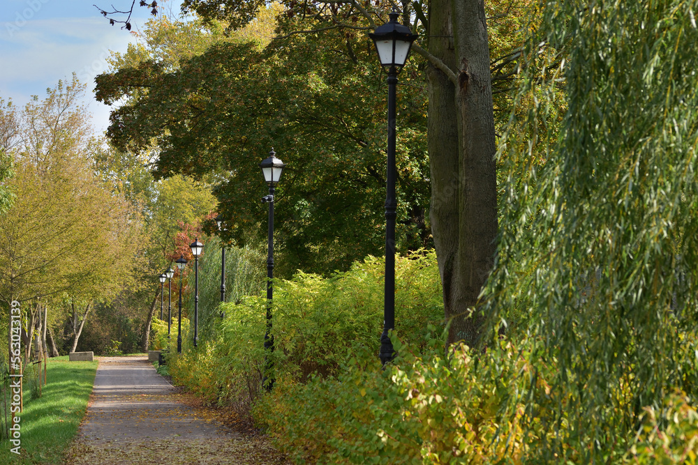 Autumn alley with old-fashioned lanterns in autumn colors on a slightly cloudy day. autumn.