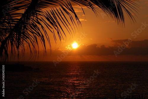 Foto Sunset on the Atlantic Ocean Beach with a palm tree in Puerto de la Cruz on Tene