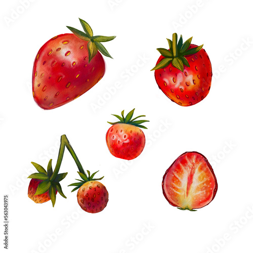 Fototapeta Naklejka Na Ścianę i Meble -  A set of strawberries on a white background. A hand-drawn illustration of a juicy summer berry. Digital art. Painted food, fruit. Summer berries. Suitable for prints, wallpapers, boxes, packages