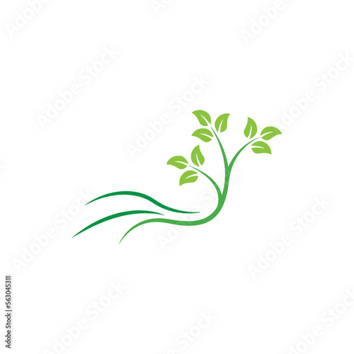 Stylized twig elements with leaves, Green leaf collection, Leaf icon vector isolated on white background. Various shapes of green leaves on trees and plants, floral elements 