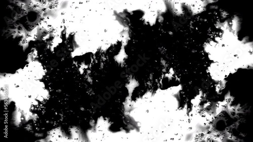 Wallpaper Mural Black ink artistic flow splatter spots spills white paper beautiful reveal dripping streaks spread fluid ink alpha matte isolated watercolor ink drops transition Torontodigital.ca