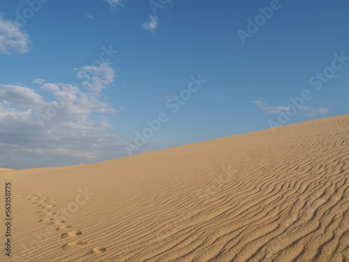 sand dunes and sky in the desert