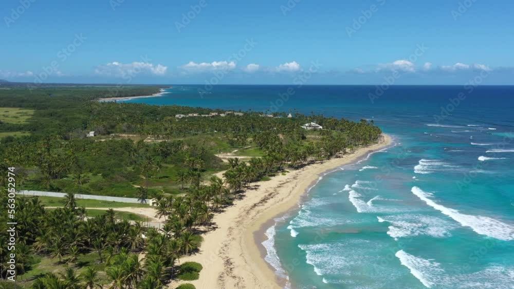 Wild caribbean shore with coconut palm trees and turquoise sea. Tropical landscape. Aerial view from drone Wild caribbean shore with coconut palm trees and turquoise sea. Tropical landscape. Aerial view from drone