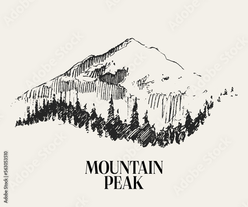 Beautiful landscape with mountain and spruce forest. Hand drawn vector illustration, sketch