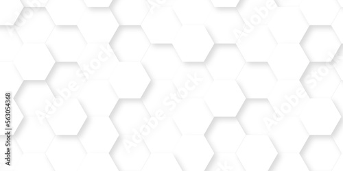 Fototapeta Naklejka Na Ścianę i Meble -  Abstract background with hexagons . Abstract background with lines . white texture background . white and hexagon abstract background. white paper texture and business ,card,flyer .