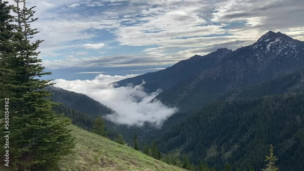 The view looking back towards the coast from the Hurricane Ridge road with mountain peaks and a cloud inversion in the background - Olympic National Park, Washington, USA The view looking back towards the coast from the Hurricane Ridge road with mountain peaks and a cloud inversion in the background - Olympic National Park, Washington, USA