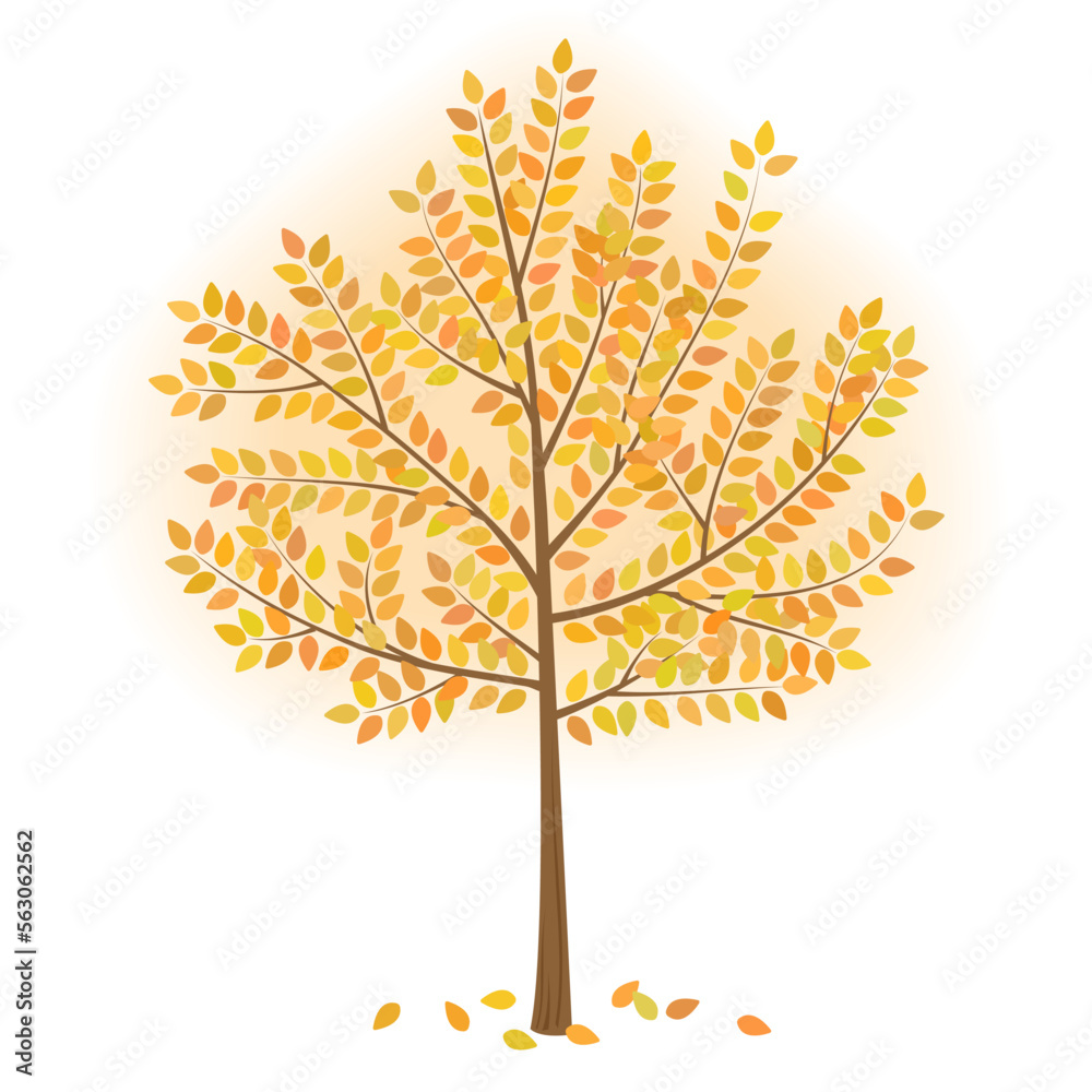 Fototapeta premium autumn tree with leaves