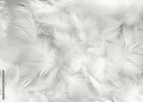 Abstract soft white feathers background © photology1971