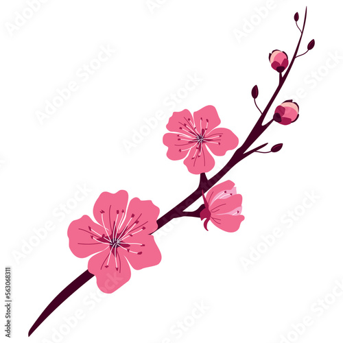 A branch of beautiful spring cherry blossoms on a white background. Vector illustration for decoration, postcards, print
