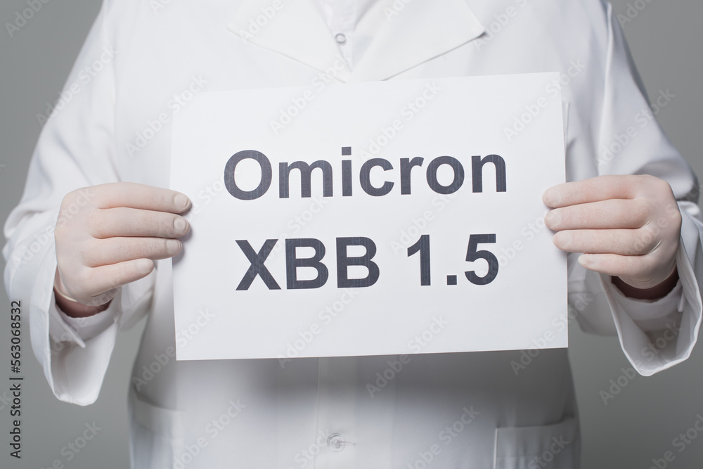 Cropped view of scientist in white coat and latex gloves holding paper with omicron xbb lettering isolated on grey. Cropped view of scientist in white coat and latex gloves holding paper with omicron xbb lettering isolated on grey.