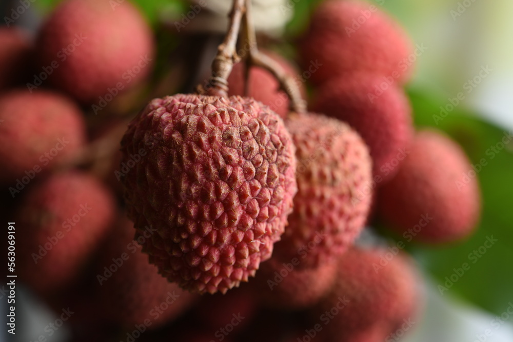 fresh lychee fruit in bundle bundle fresh lychee fruit in bundle bundle