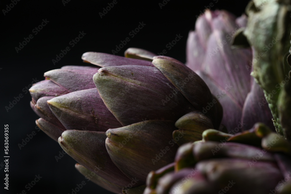 close up of purple artichoke heads close up of purple artichoke heads