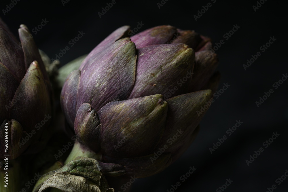 Obraz premium close up of purple artichoke heads
