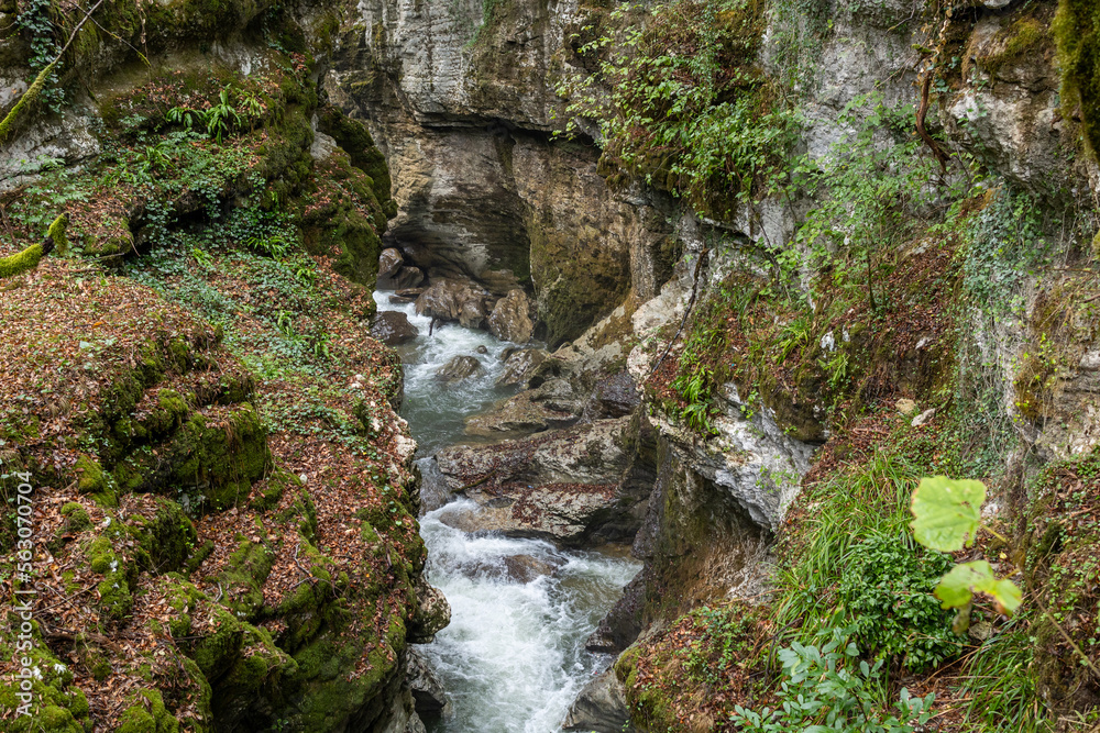 Autumn landscape of Martvili Canyon in the country of Georgia, Kutaisi. top view Autumn landscape of Martvili Canyon in the country of Georgia, Kutaisi. top view