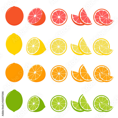 Big vector set of citrus fruits.Orange,lemon,grapefruit, and lime icons on white background