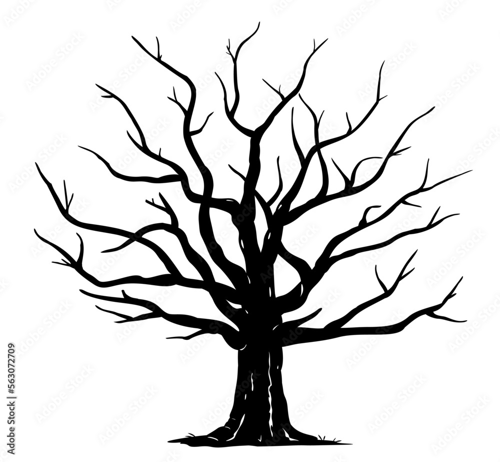 Silhouette of one wide massive old oak tree without leaves isolated illustration, black majestic oak without foliage with a rough trunk and big crown Silhouette of one wide massive old oak tree without leaves isolated illustration, black majestic oak without foliage with a rough trunk and big crown