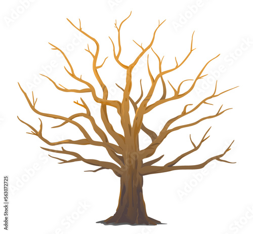 One wide massive old oak tree without leaves isolated illustration, majestic oak without foliage with a rough trunk and big crown