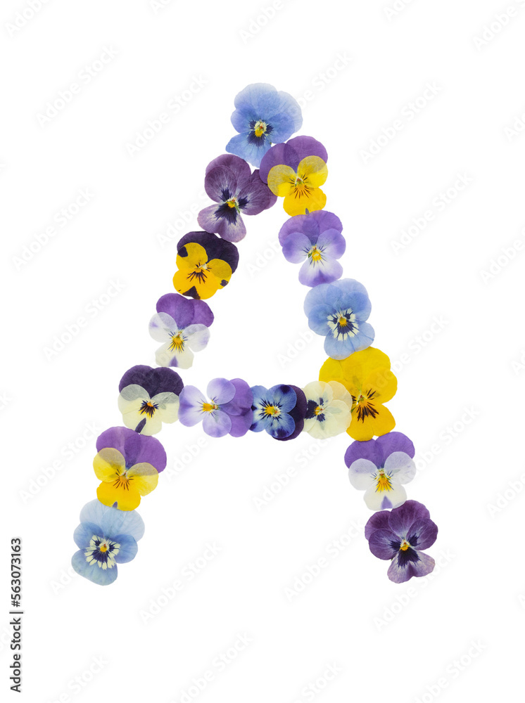 Flower font Alphabet a,b,c,q, r, s, t, made of Real pansy flowers. Flower font Alphabet a,b,c,q, r, s, t, made of Real pansy flowers.