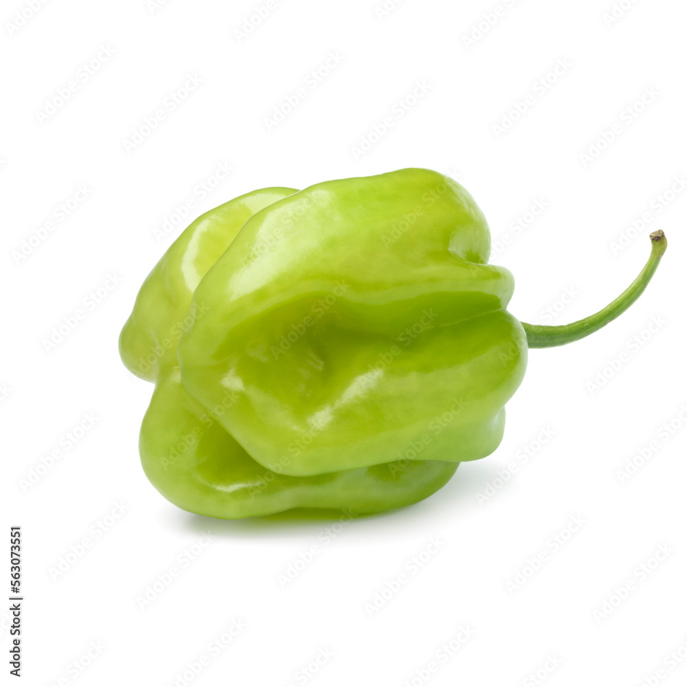 Single fresh green scorpion chili pepper isolated on white background Single fresh green scorpion chili pepper isolated on white background