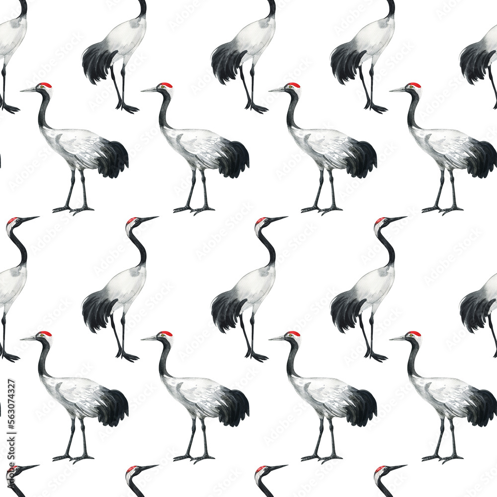 Naklejka premium watercolor black-necked crane pattern. Watercolor cute animal. Hand painting postcard isolated white background. Watercolor hand drawn illustration.