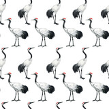 watercolor black-necked crane pattern. Watercolor cute animal. Hand painting postcard isolated white background. Watercolor hand drawn illustration.