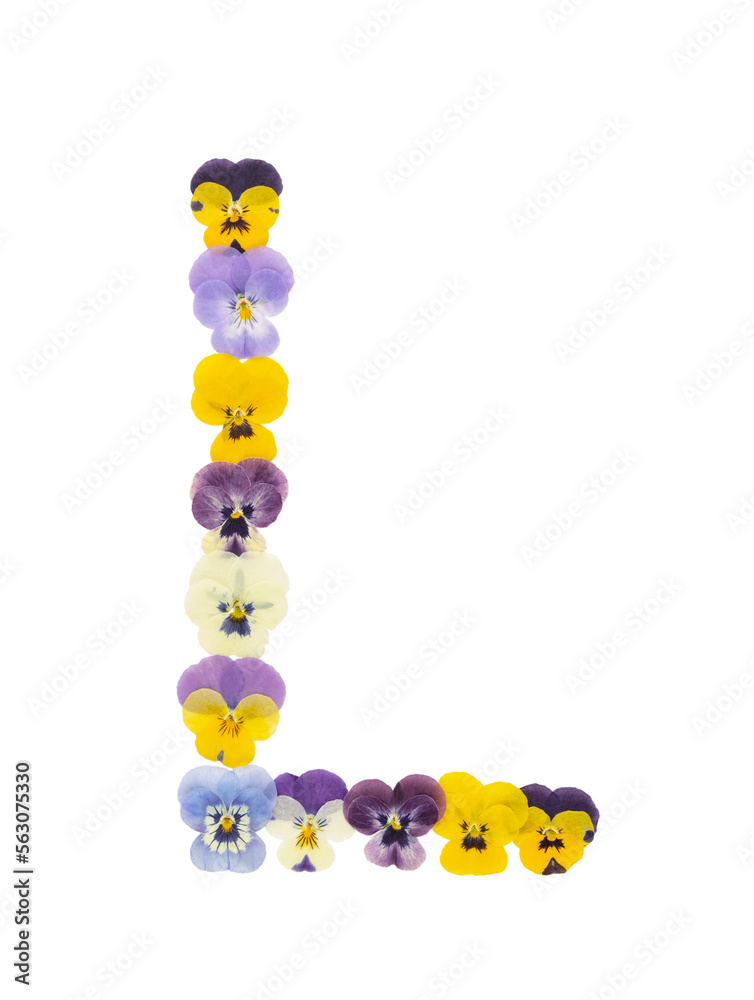 Flower font Alphabet made of Real pansy flowers. Flower font Alphabet made of Real pansy flowers.