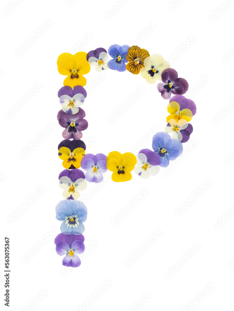 Flower font Alphabet made of Real pansy flowers. Flower font Alphabet made of Real pansy flowers.