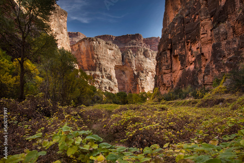 zion national park photo