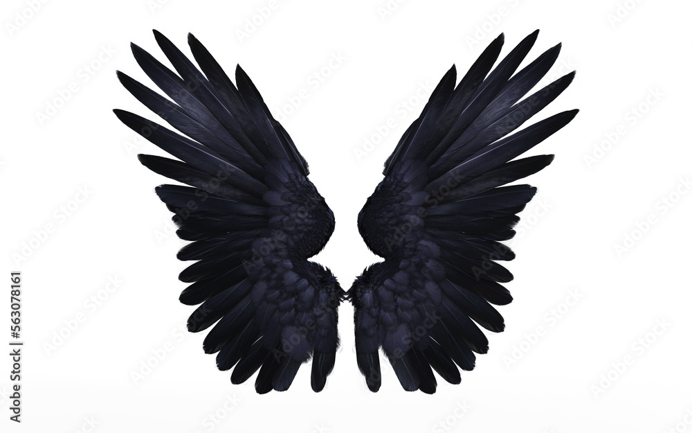 Fototapeta premium 3d Illustration of Crow wing, Demon Wings, Black Wing Plumage Isolated on Black Background