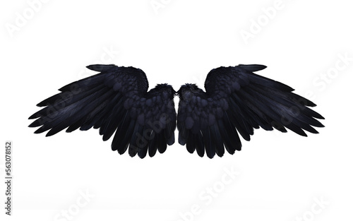 3d Illustration of Crow wing, Demon Wings, Black Wing Plumage Isolated on Black Background