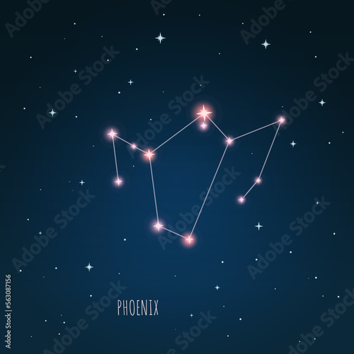 Constellation scheme in starry sky. Open space. Vector illustration Phoenix constellation through a telescope