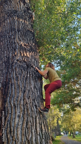 girl climbing a tree, funny