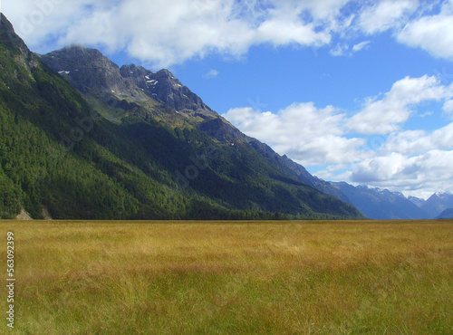 Mountain Meadow