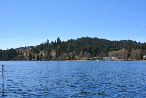 On the Lake Titisee with a view of the shore