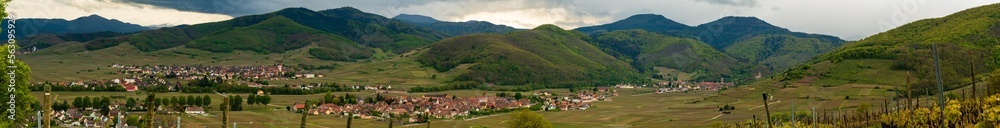 Villages viticoles au cœur du vignoble alsacien, piémont du massif des Vosges, CEA, Alsace, Vosges alsacienne, Grand Est, France