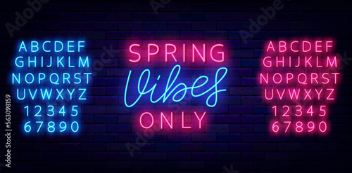 Spring vibes only neon label. Season motivation. Luminous blue and pink alphabet. Vector stock illustration