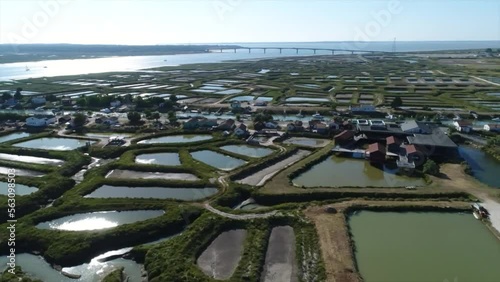 Vue aérienne de parc à huîtres - Marennes d'Oléron - France photo