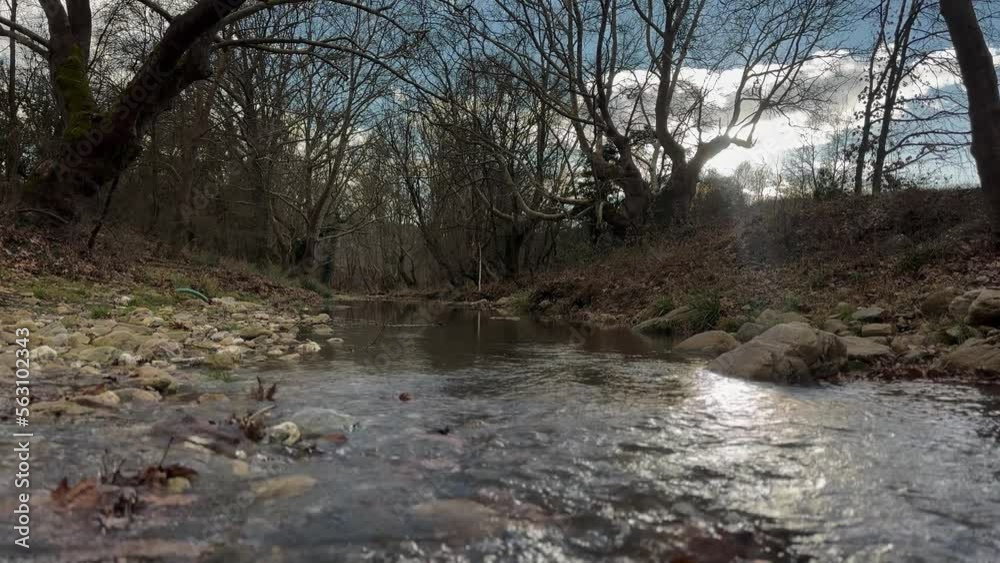 Peaceful, Relaxing Fast Moving Water Stream, Winter Dusk Peaceful, Relaxing Fast Moving Water Stream, Winter Dusk