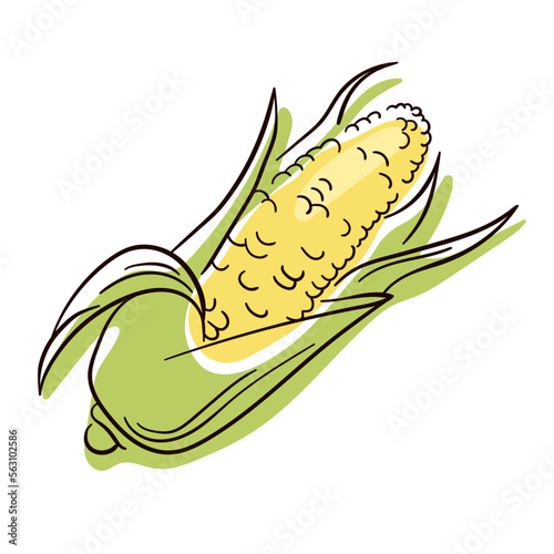 Corn line drawing. Flat illustration of Corn vector icon isolated on white background.