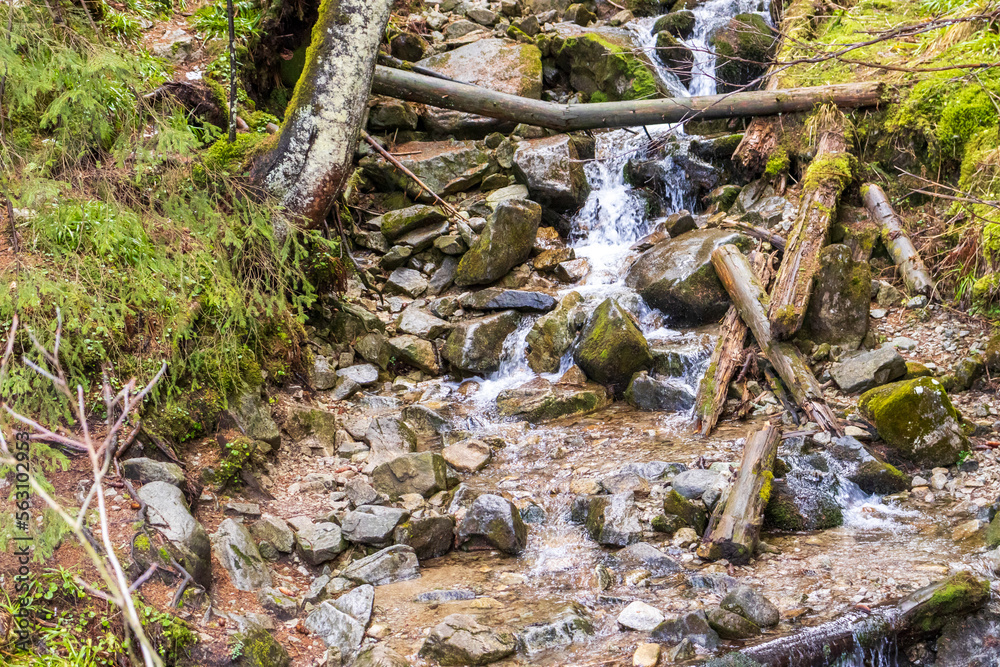 Mountain stream flowing through the spring forest. Waterfall in Poland, Zakopane. Tatra Mountains Mountain stream flowing through the spring forest. Waterfall in Poland, Zakopane. Tatra Mountains