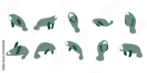 Manatees. Scandinavian style under sea. Save the manatee concept. Character design. Vector illustrations isolated on white background. photo