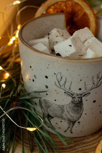 Marshmallows in a cup, dried orange and Christmas tree branches near the cup