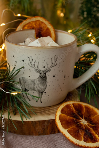Marshmallows in a cup, dried orange and Christmas tree branches near the cup
