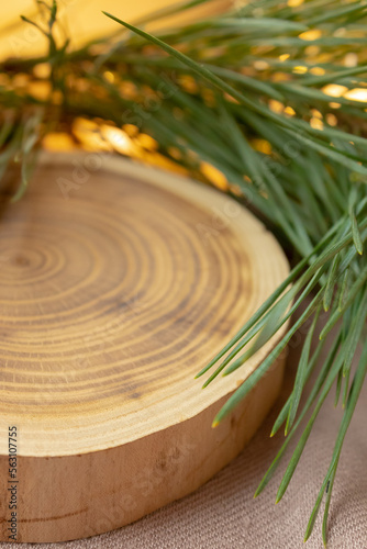 A felled tree and Christmas tree branches