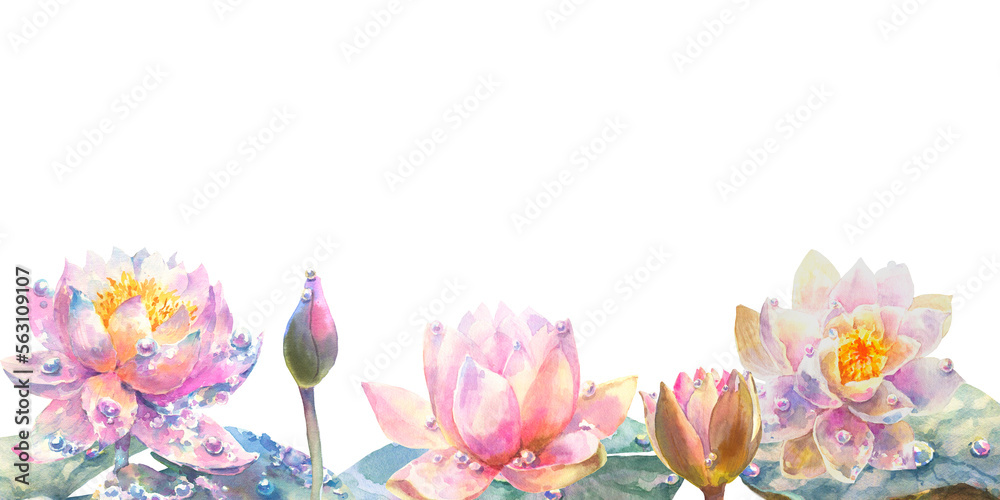 Water lily. Greeting card with watercolor wild flowers on a white background. Lotus. Use for scrapbooking, Invitations, books and journals, decoupage,cards for weddings, birthdays
