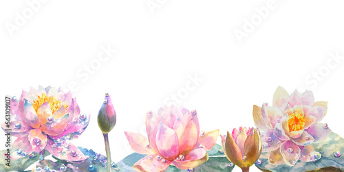 Water lily. Greeting card with watercolor wild flowers on a white background. Lotus. Use for scrapbooking, Invitations, books and journals, decoupage,cards for weddings, birthdays