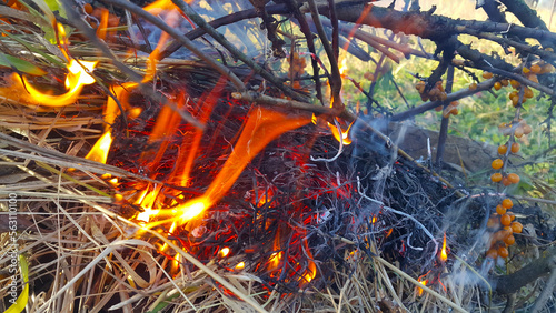 Bonfire or fire, burning branches of a tree and dry grass