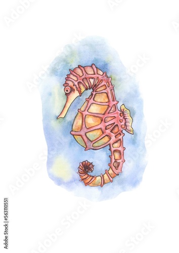 Seahorse in the blue sea, watercolor drawing