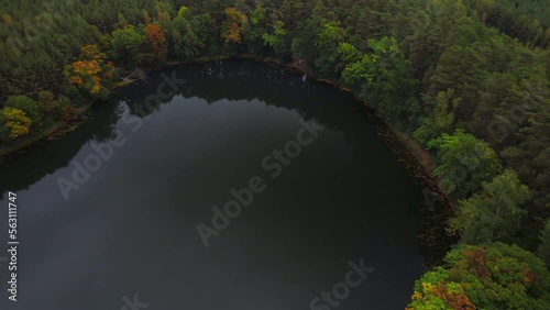 Lake Heart - shaped in the green forest. Forest Heart - shaped lake in the bush.